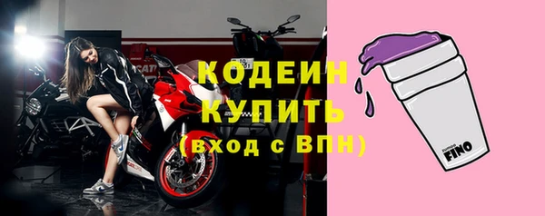 индика Нея