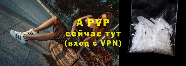 ешки Весьегонск