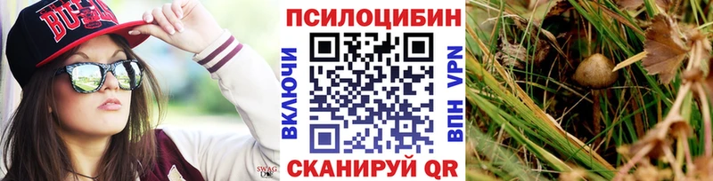 Псилоцибиновые грибы мухоморы  мега рабочий сайт  Надым 