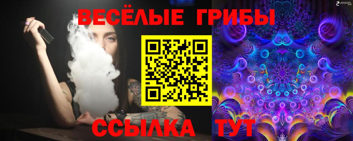 Псилоцибиновые грибы Psilocybe  Галлюциногенные грибы мицелий  Вход с VPN  Надым 