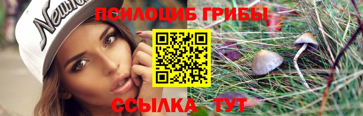 Надым  Псилоцибиновые грибы GOLDEN TEACHER  где продают   Псилоцибиновые грибы мицелий  Вход с VPN 