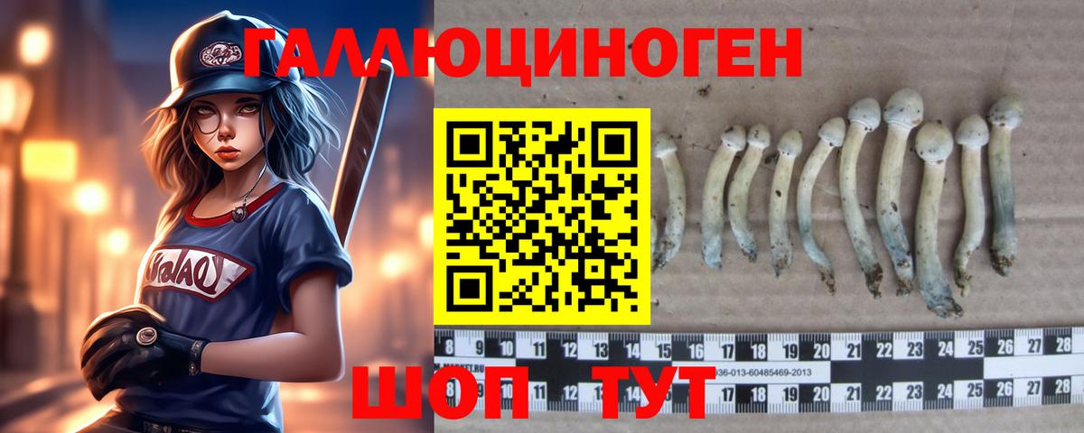 Галлюциногенные грибы Magic Shrooms Надым